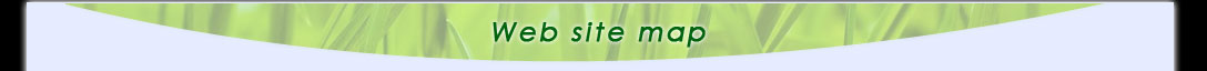 Plan du site
